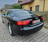 Audi A5 12/13r 177PS Navi Zadbany Rata800zł Śrem - zdjęcie 11