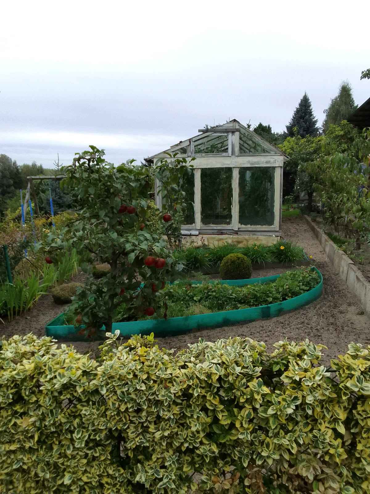 Działka rekreacyjna ROD 🍓 Iława Iława - zdjęcie 12