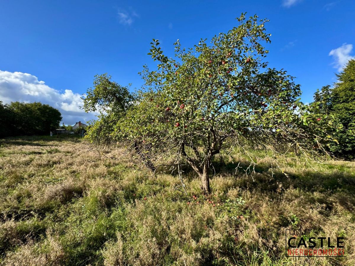 Działka|Inwestycyjna|Górzyno Gorzyno - zdjęcie 9