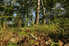 Piękny dom w zabudowie bliźniaczej z ogrzewaniem miejskim! Siechnice Siechnice - zdjęcie 12