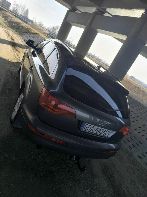 Kukurydza 7 Cedry Małe - zdjęcie 3