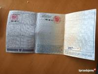 Mercedes-Benz SLK 230 Kompressor Cabrio - 1998r kabriolet Nowy Sącz - zdjęcie 12