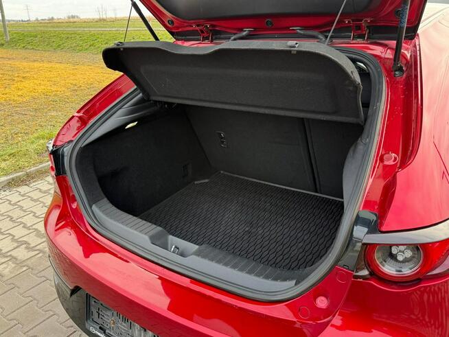 SkyPassion*FullLed*Kamera360*HeadUP*BOSE*Navi*NiskiPrzebieg*Zadbany Sośnicowice - zdjęcie 12