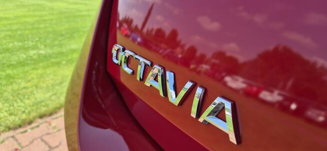 Škoda Octavia SALON PL-STYLE-VIRTUAL-SERWIS Paproć - zdjęcie 10