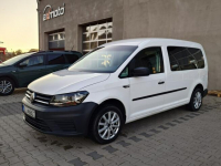 Volkswagen Caddy Maxi 5 osobowy Mirsk - zdjęcie 3