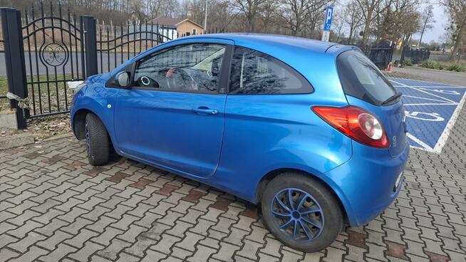 Ford Ka do sprzedazy Toruń Włościański - zdjęcie 1