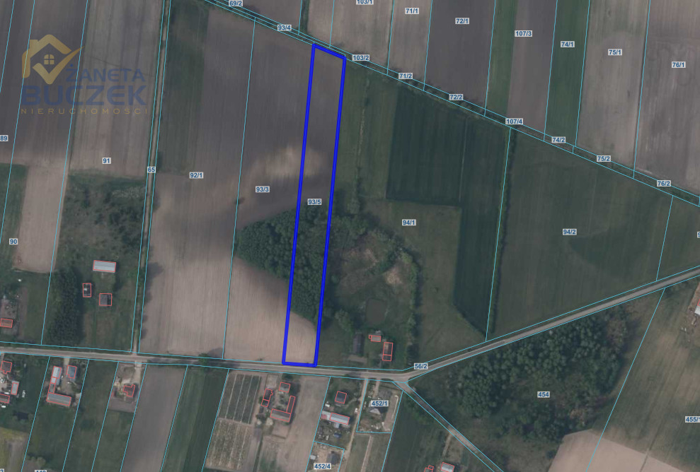DUŻA DZIAŁKA W ATRAKCYJNEJ LOKALIZACJI Justynów - zdjęcie 1