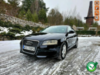 Audi A3 Lift 1.9 TDI DSG 5 Drzwi Serwis