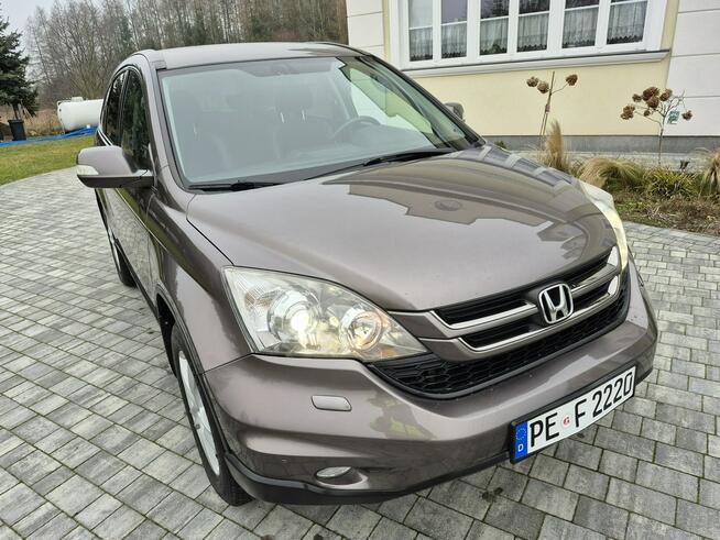 Honda CR-V Xenon benzyna alcantara climatronic Drelów - zdjęcie 3