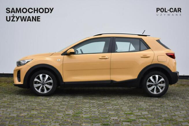 Kia Stonic 100 KM T-GDI M DCT Salon PL 1 Wł. Vat 23% Serwis ASO Poznań - zdjęcie 3