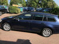 Golf VII niski przebieg, super stan asystent parkowania Słupsk - zdjęcie 7