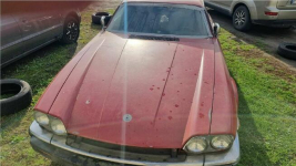 Jaguar XJS II – sprzedaż syndyka