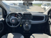 Fiat Panda mHEV Klimatyzacja Gliwice - zdjęcie 9