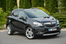 Innovation bi-Xenon Ledy Navi Kamera Skóry Grzana Kier 2xPar Aso Opel Ostrów Mazowiecka - zdjęcie 9