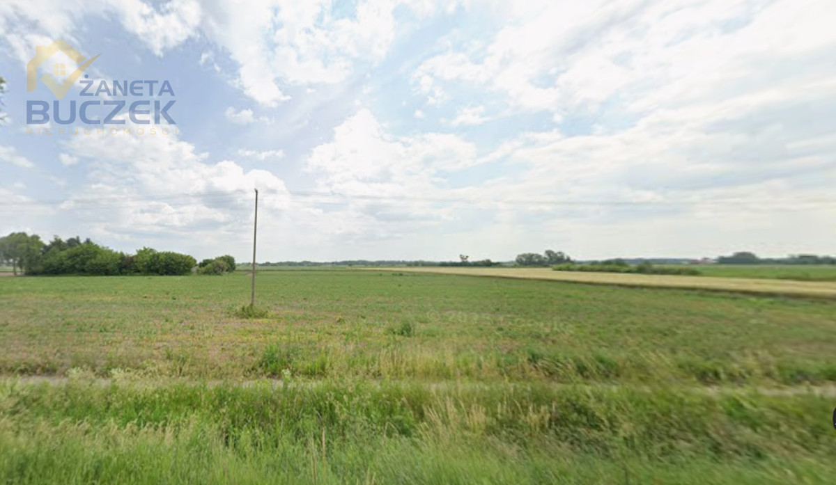 Sprzedam działkę rolną w Młodzieszynie przy DK50 Młodzieszyn - zdjęcie 2