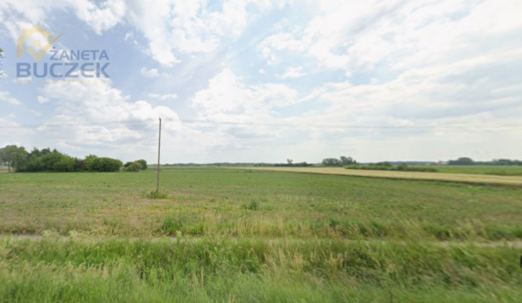 Sprzedam działkę rolną w Młodzieszynie przy DK50 Młodzieszyn - zdjęcie 2