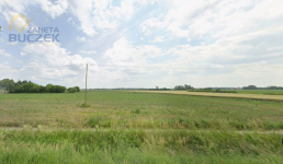 Sprzedam działkę rolną w Młodzieszynie przy DK50 Młodzieszyn - zdjęcie 2