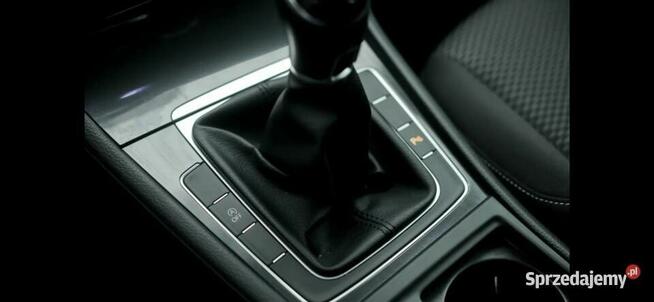 Volkswagen Golf VII 1.0 TSI Alu Klima Tempomat Grzane fotele Gorzów Wielkopolski - zdjęcie 8