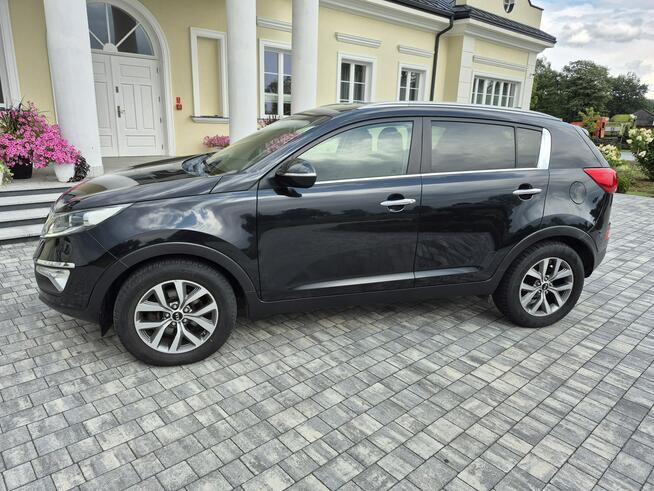 Kia Sportage kamera xenon navigacja skóra Import Francja bez korozji Drelów - zdjęcie 6