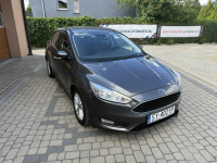 Ford Focus 1,5 150KM  Rej.01/2016  Klimatronik Orzech - zdjęcie 3