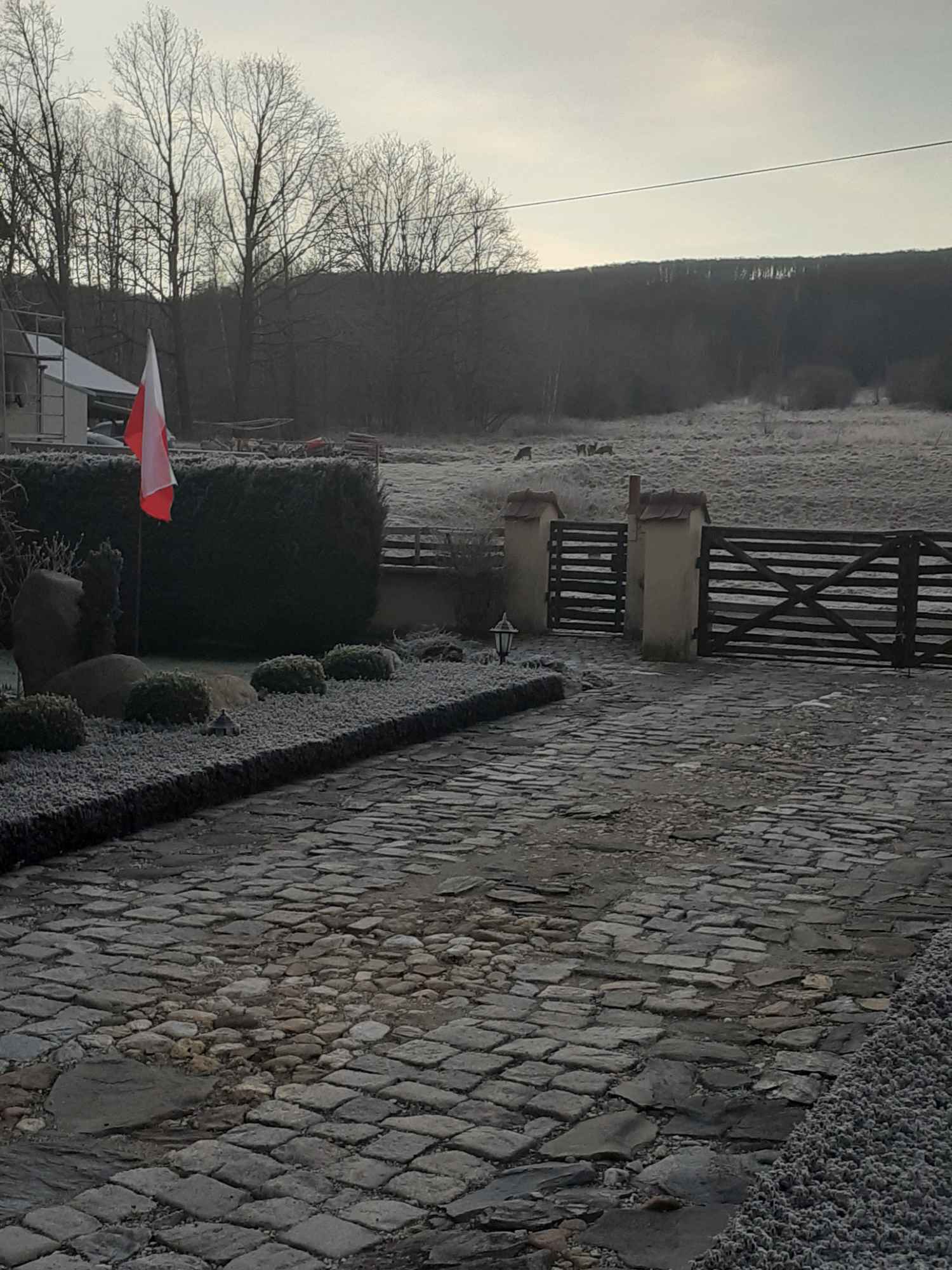 Sprzedam siedlisko dom mieszkalny Jarnołtówek - zdjęcie 11