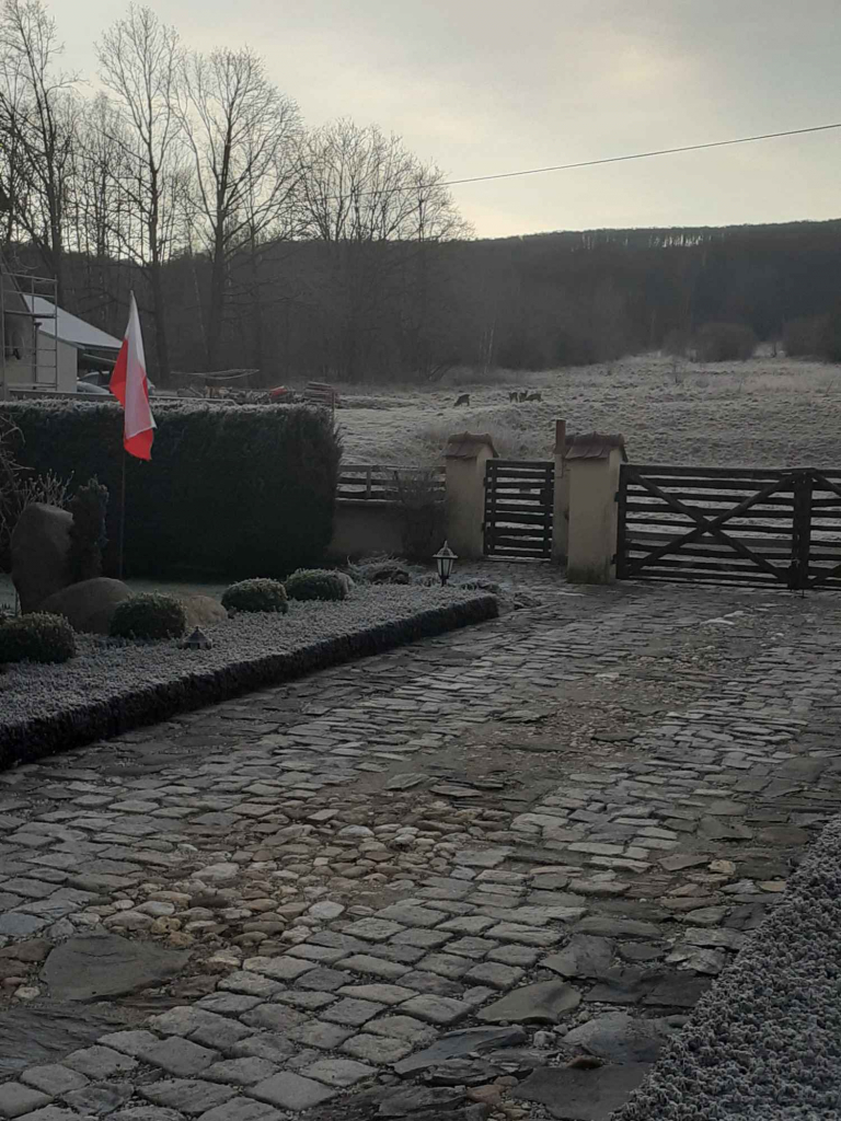 Sprzedam siedlisko dom mieszkalny Jarnołtówek - zdjęcie 11