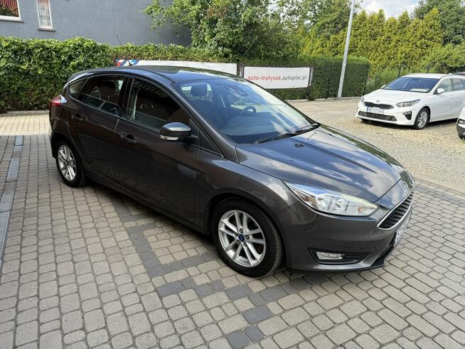 Ford Focus 1,5 150KM  Rej.01/2016  Klimatronik Orzech - zdjęcie 4