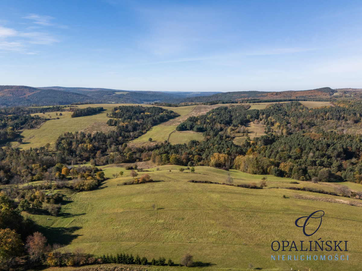 1,97 ha | Malownicza okolica | Okolice Arłamowa Gruszowa - zdjęcie 2