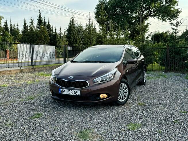 Kia Ceed 1.4 benzyna, piękny kolor, stan wzorowy. Gołków - zdjęcie 3