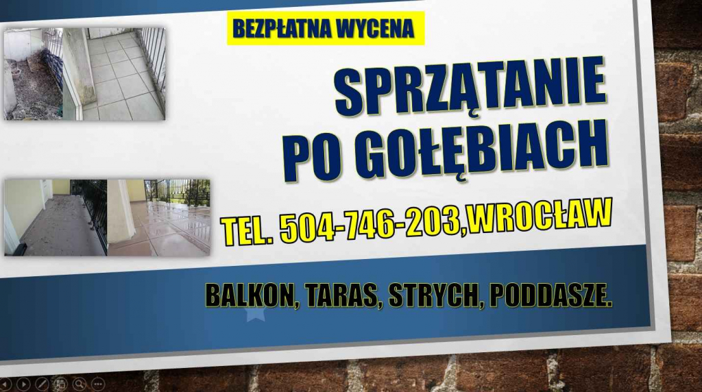 Czyszczenie po gołębiach, t. 504-746-203, sprzątanie ptasich odchodów Psie Pole - zdjęcie 1