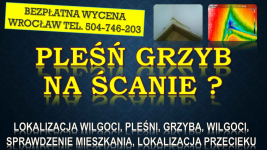 Odgrzybianie mieszkania, cena, tel. 504-746-203. Wrocław. pleśń, grzyb Psie Pole - zdjęcie 1