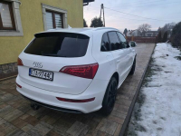 Audiq5 Kazimierza Wielka - zdjęcie 4