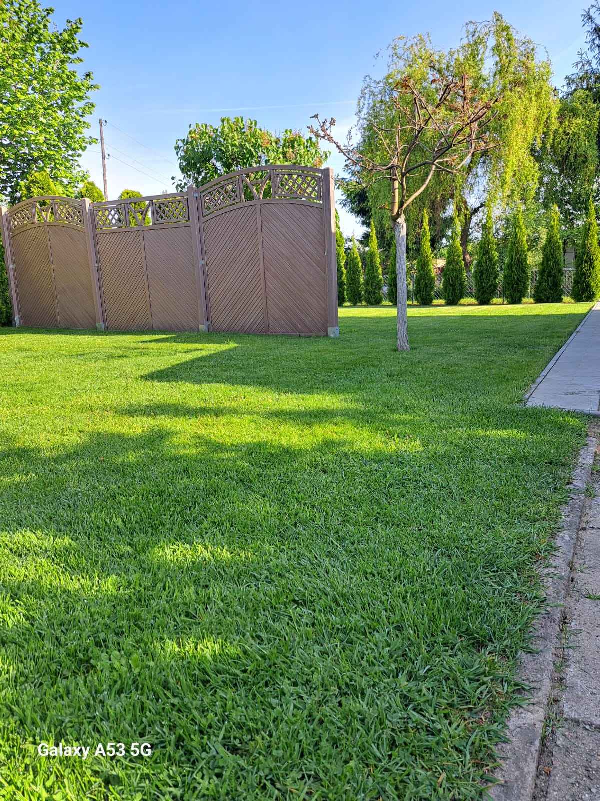 Sprzedam Turek - zdjęcie 2