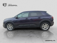 Citroen C4 Cactus Salon PL, Serwisowany, Vat 23% Łódź - zdjęcie 8