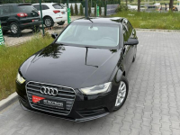 Audi A4 2.0 TDI / 150KM LED BiKsenon Automat Nawigacja Skóra Tempomat Mrągowo - zdjęcie 2