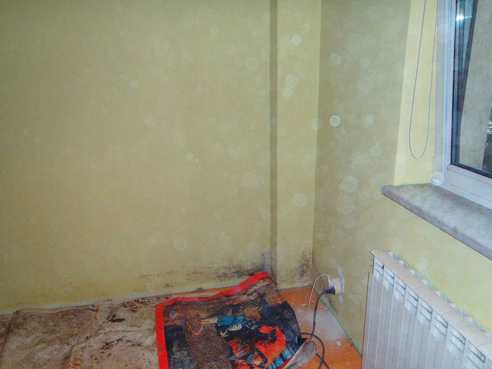 odgrzybianie pomieszcze firbau Bielsko-Biała - zdjęcie 4