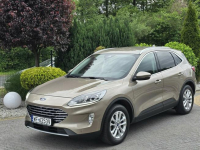 Ford Kuga 1.5 EcoBlue 120KM Titanium / Salon PL I-właściciel Skępe - zdjęcie 1