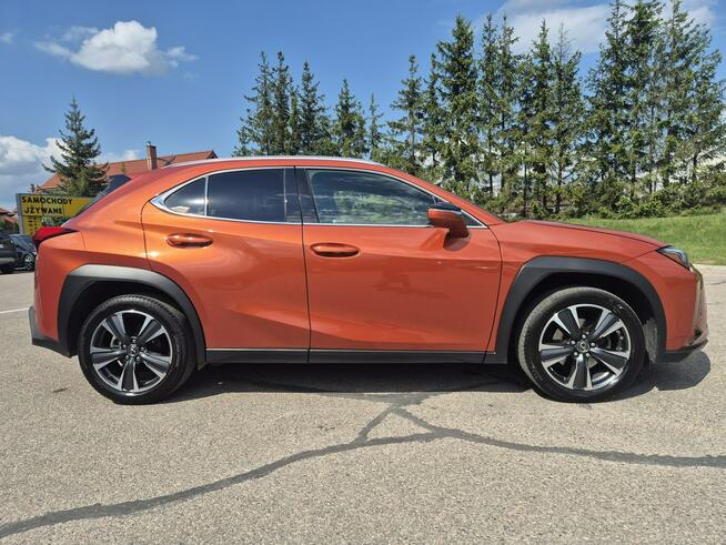 Lexus UX Giżycko - zdjęcie 4