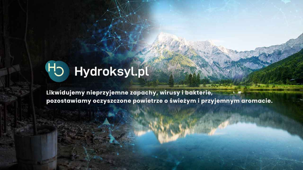 OCZYSZCZANIE POWIETRZA Z WIRUSÓW I BAKTERII ODKAŻANIE DEZYNFEKCJA Bielsko-Biała - zdjęcie 1