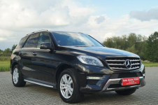 Mercedes ML 350 4MATIC 2014r Salon PL II-gi wł. stan bdb zadbany Goczałkowice-Zdrój - zdjęcie 9