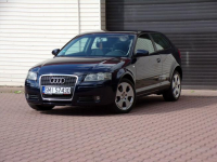 Audi A3 Klimatronic /Gwarancja /1,9 TDI/105KM /2007R  /Lift Mikołów - zdjęcie 5
