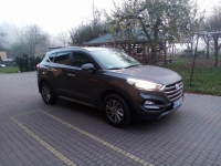 Sprzedam Pionki - zdjęcie 4