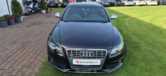 S4-QUATTRO-SUPER STAN-WARTO Paproć - zdjęcie 3