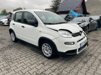 Fiat Panda Salon Polska_mHEV Klimatyzacja Gliwice - zdjęcie 2