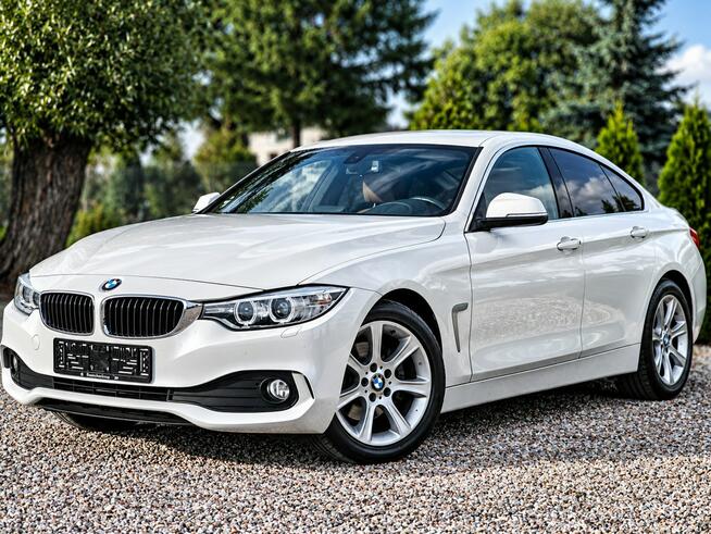 BMW 420 Sadlno - zdjęcie 1