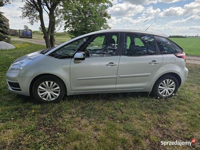Citroen C4 Picasso 1.6 e-HDI automat Sołeczno - zdjęcie 7