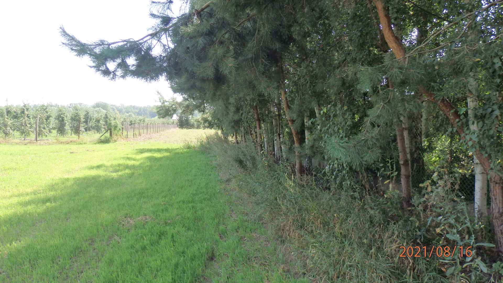 Sprzedam działkę budowlano inwest.z atrakcyjnym Warunkami Zabudowy. Świecie - zdjęcie 4