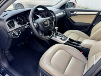 Audi A4 LIFT Bi-Xenon Navi Skóry Gwarancja Kutno - zdjęcie 9
