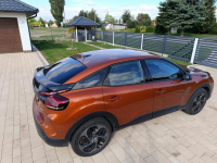 Bardzo ładny Super kolor