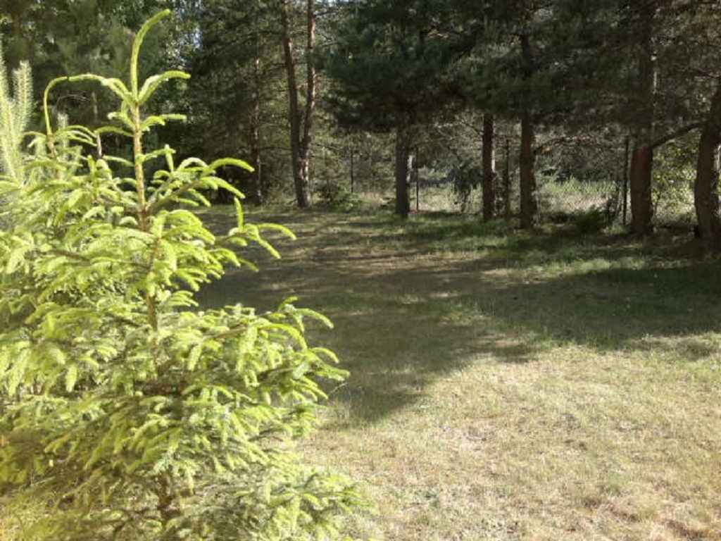 SEZON--2025--Samodzielny dom z ogrodzoną działką nad jez. Głuszyńskim Wincentowo - zdjęcie 5